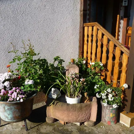 Lägenhet Ferienwohnung Chamihutte